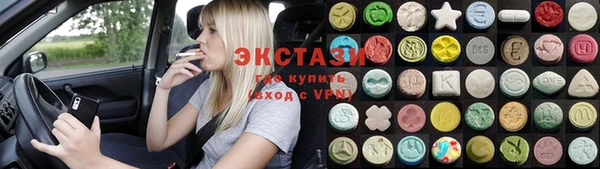 индика Кулебаки