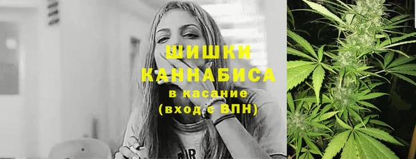индика Кулебаки