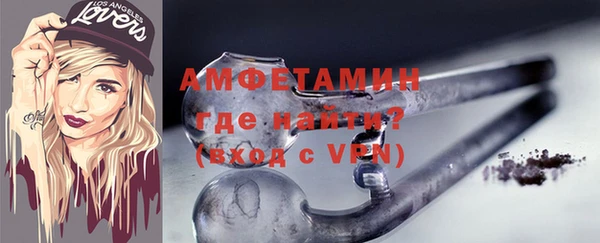 индика Кулебаки