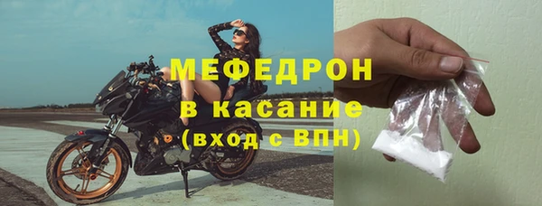 индика Кулебаки