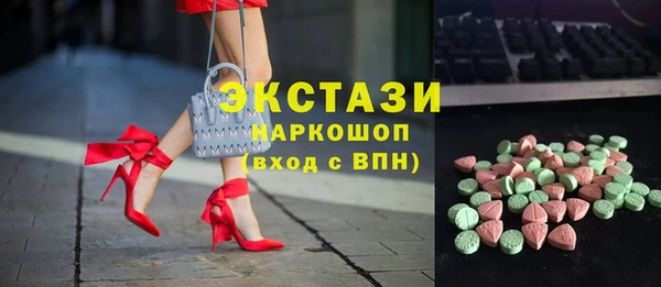 индика Кулебаки