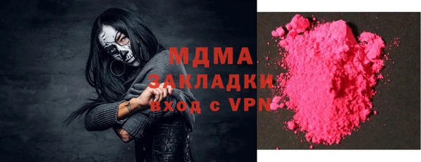 индика Кулебаки