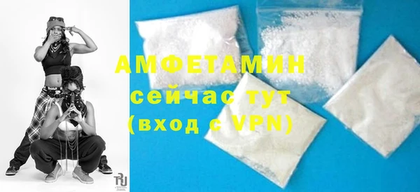 индика Кулебаки
