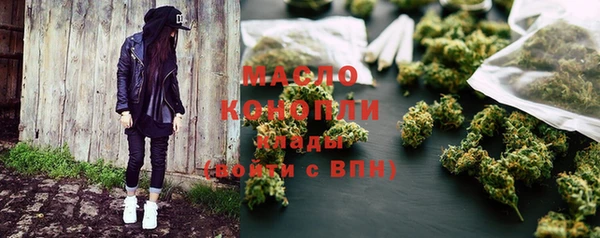 индика Кулебаки