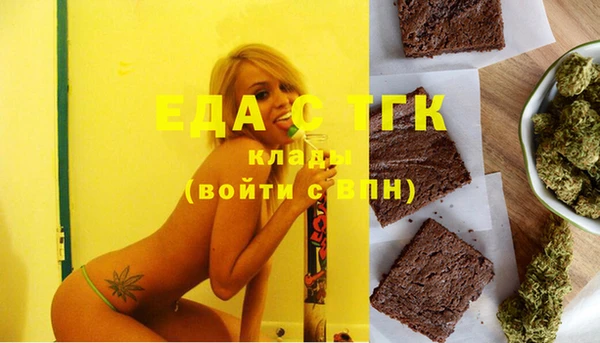 индика Кулебаки