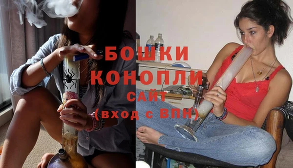 индика Кулебаки