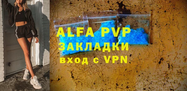 индика Кулебаки