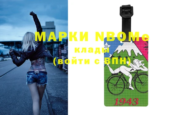 индика Кулебаки