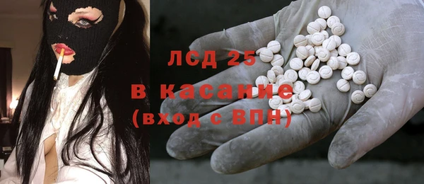 индика Кулебаки